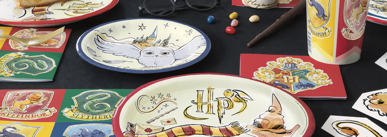 Harry Potter Party Theme – Party Packs