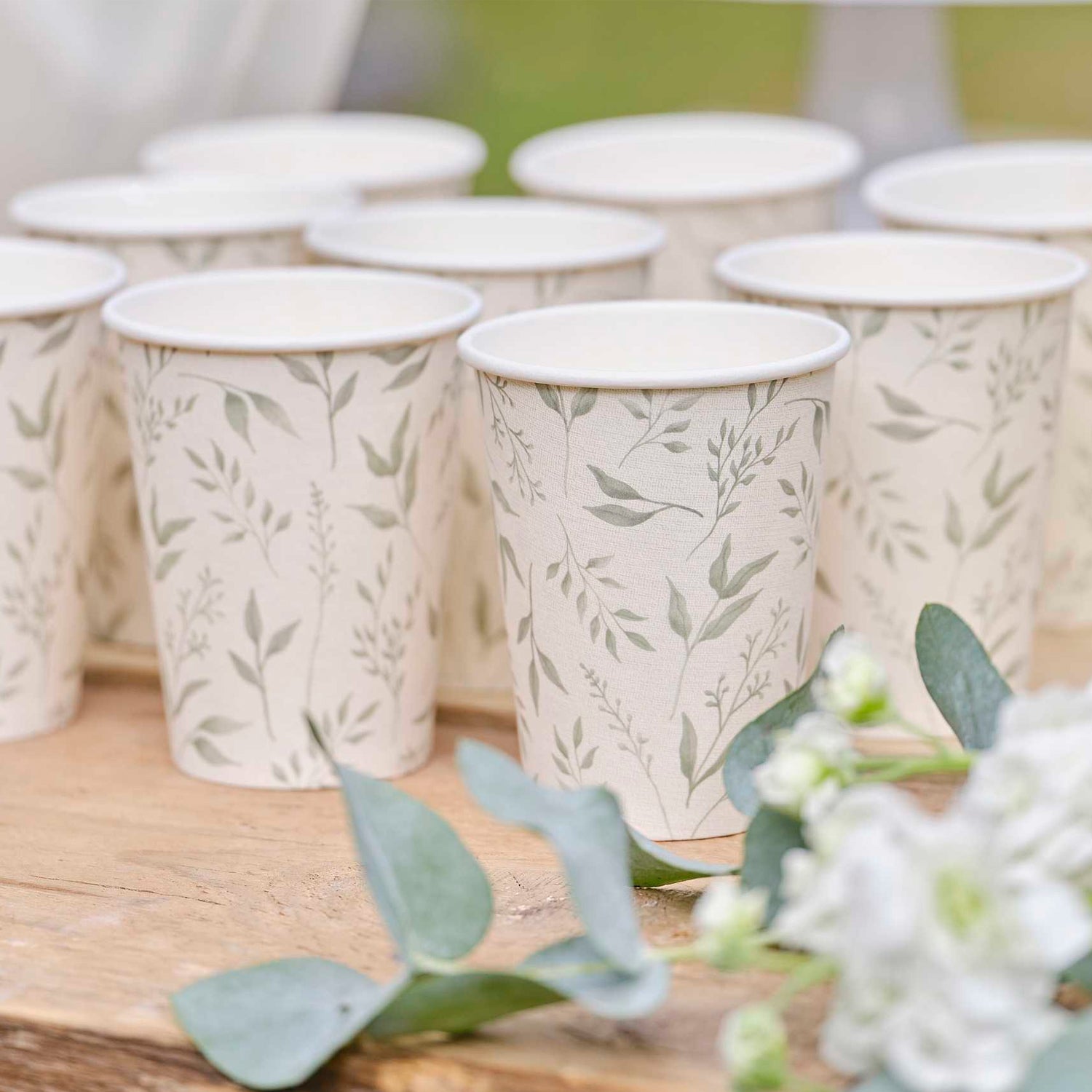 White and Green Botanical Leaf Paper Cups - 266ml - Pack of 8