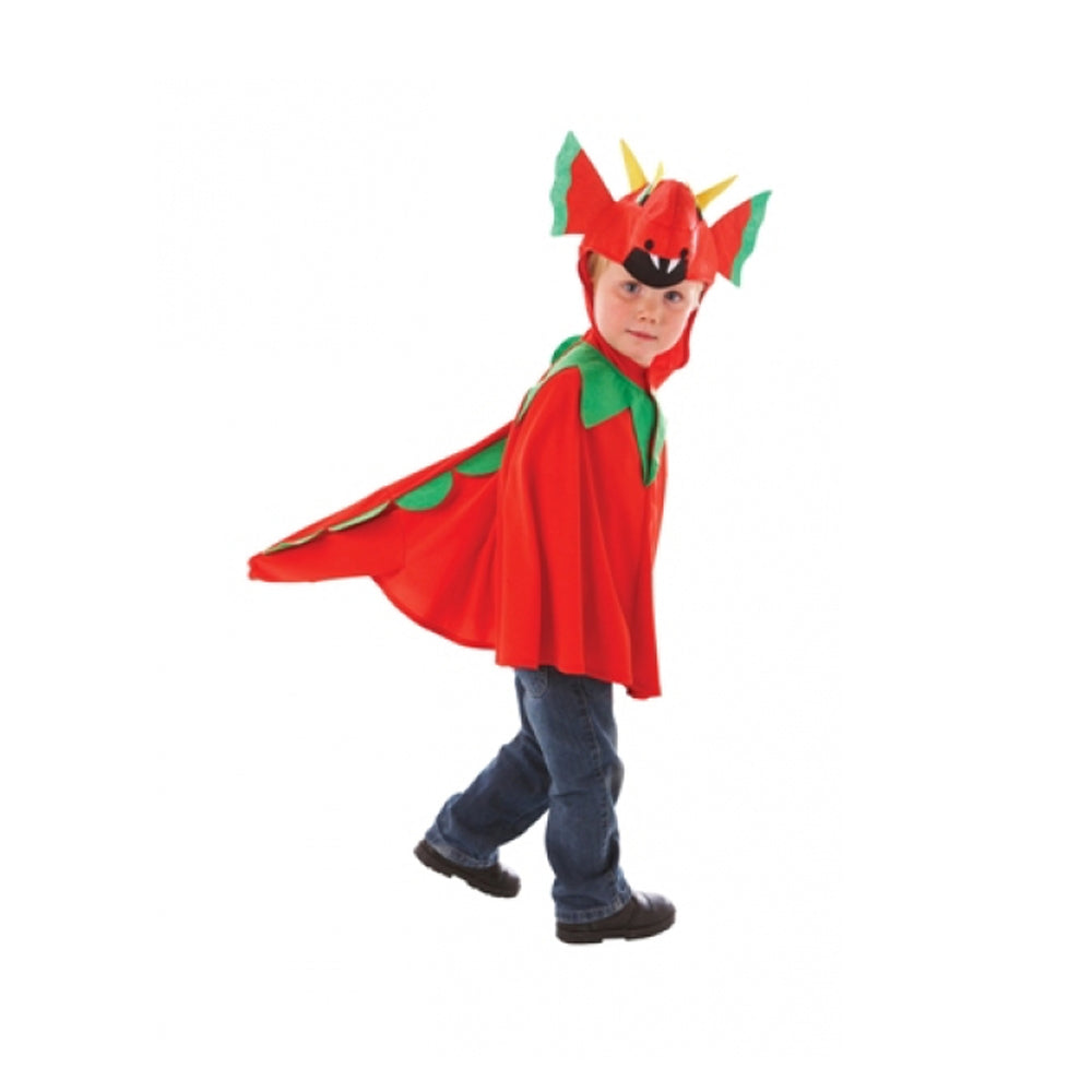 Children's Friendly Dragon Costume