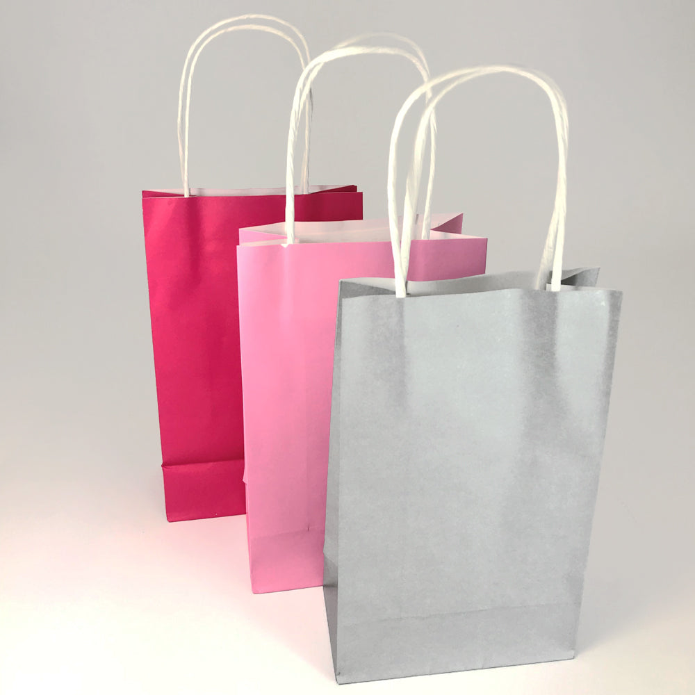 Pink Colours Paper Party Bags - Pack of 6