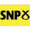 SNP Party Poster - A3