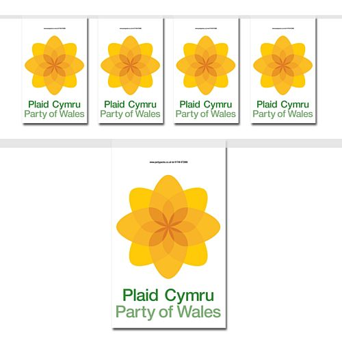 Plaid Cymru Flag Interior Bunting - 2.4m
