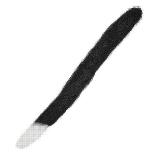 Cat Tail With White Tip