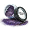Parma Violet Biodegradable Glitter Dust - 3g
