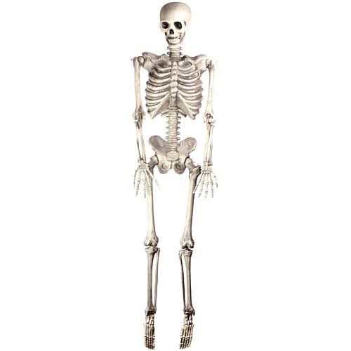 Halloween Skeleton Lifesize Hanging Prop Decoration - Plastic - 1.5m