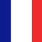 French Polyester Fabric Flag - 5ft