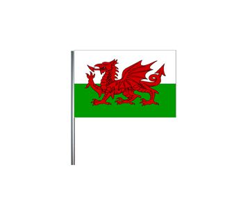 Welsh Small Cloth Flag On A Pole - 9" x 6"