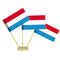 Luxembourg Paper Table Flags 15cm on 30cm Pole