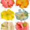 Hibiscus Hair Clips - Assorted Colours
