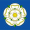 Yorkshire Polyester Fabric Flag 5ft x 3ft