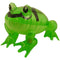 Inflatable Frog - 39cm