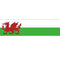 Welsh Themed Flag Banner - 120 x 30cm