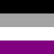 Asexual Pride Polyester Fabric Flag 5ft x 3ft