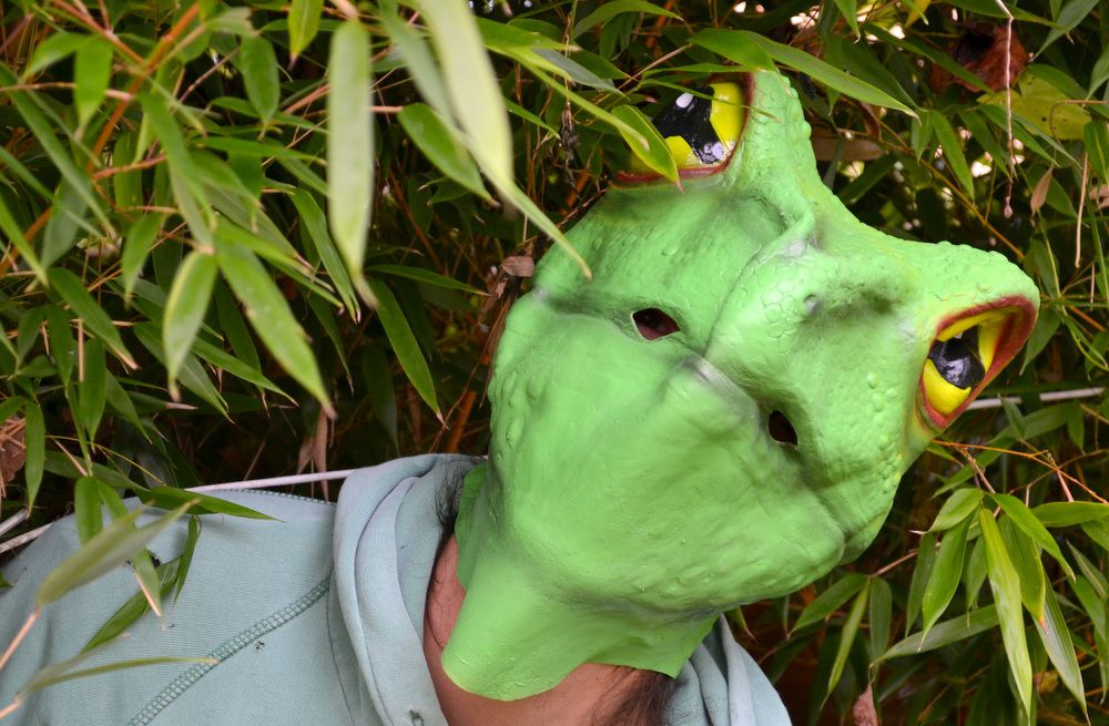 Rubber Animal Masks