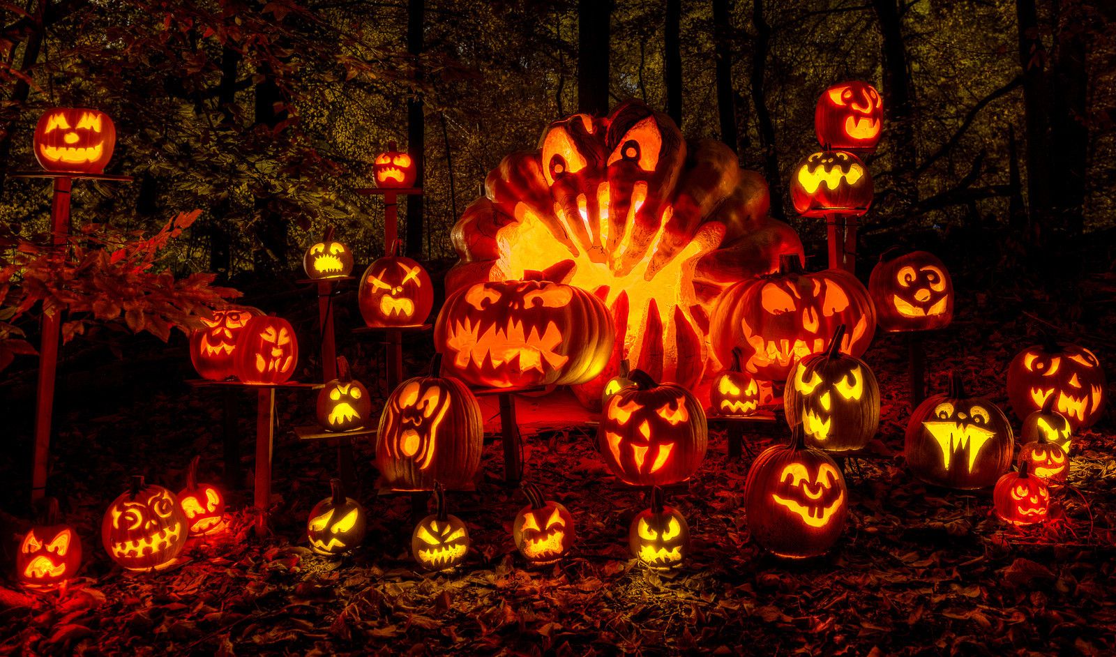 Pumpkin Carving Made Easy | Pumpkin Carving Ideas and Accessories | Free Stencils!