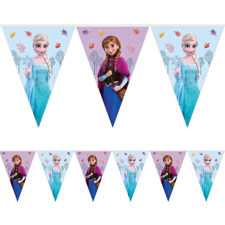 Disney Frozen Paper Flag Bunting - 2m