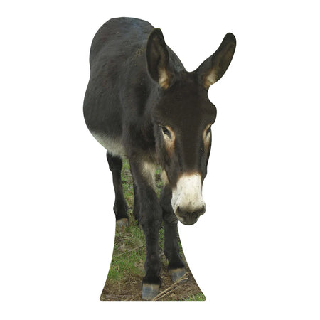 Donkey Cardboard Cutout - 1.22m