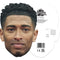 Jude Bellingham Cardboard Face Mask