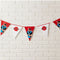 Ninja Party Bunting - 6m