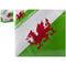 Welsh Flag Napkins - 33cm - Pack of 12