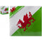 Welsh Flag Napkins - 33cm - Pack of 12