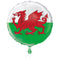 Welsh St. David's Flag Foil Balloon – 18