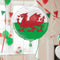Welsh St. David's Flag Foil Balloon – 18