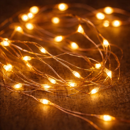 Warm White LED Fairy Lights - Set of 20 - 1m