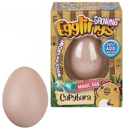 Magic Growing Capybara Egg Toy - 6cm - Each