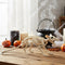 Rat Skeleton Prop - 72cm