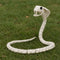 Rubber Skeleton Snake Prop - 102cm