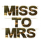 Miss To Mrs Hen Party Banner Decoration - 2m
