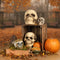 Skull Realistic Prop Decoration - 20cm