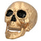 Gold Skull Prop Decoration – 24cm