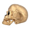 Gold Skull Prop Decoration – 24cm