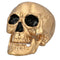 Gold Skull Prop Decoration – 24cm