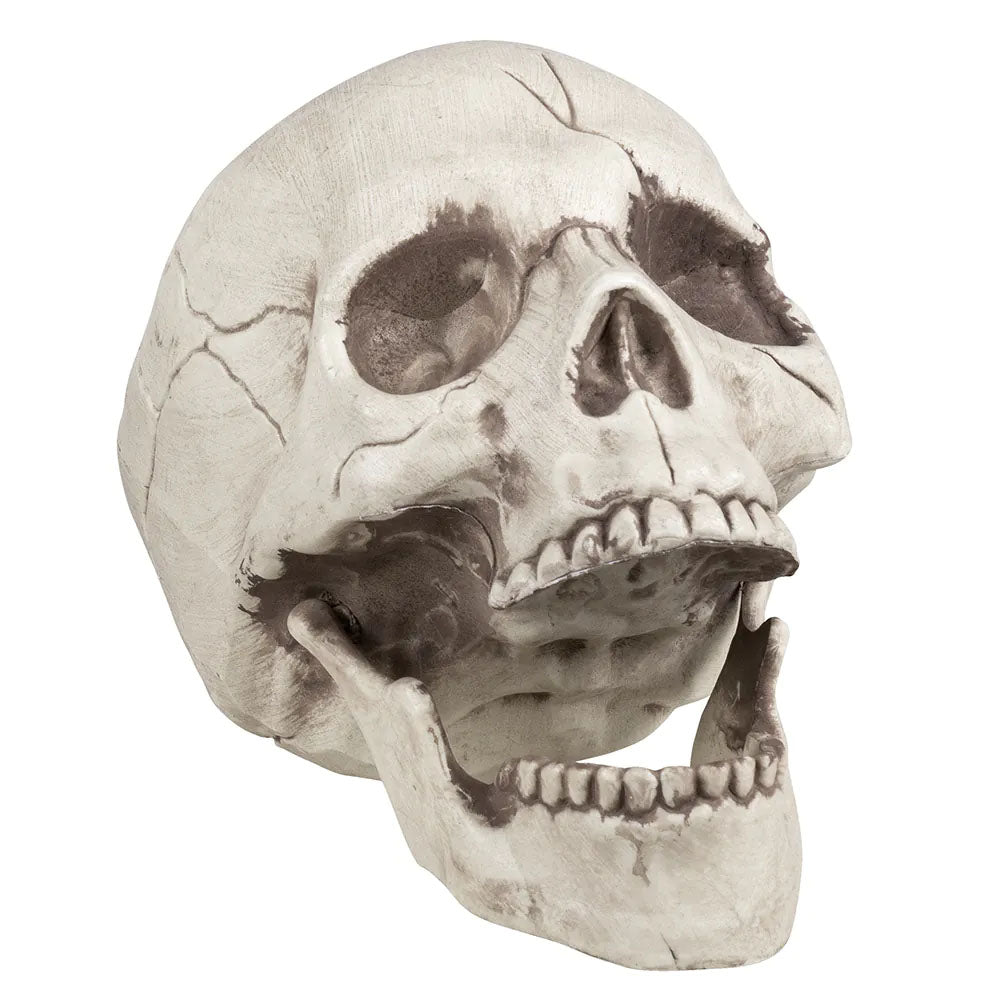 Skull Lifesize Prop - 21cm