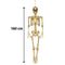 Giant Gold Skeleton Prop Decoration – 160cm