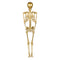 Giant Gold Skeleton Prop Decoration – 160cm