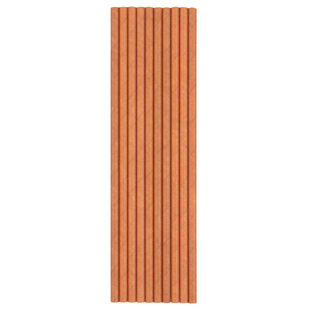 Rose Gold Paper Straws- Pack of 10