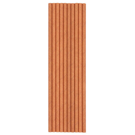 Rose Gold Paper Straws- Pack of 10