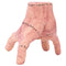 Gothic Stitched Hand Prop
