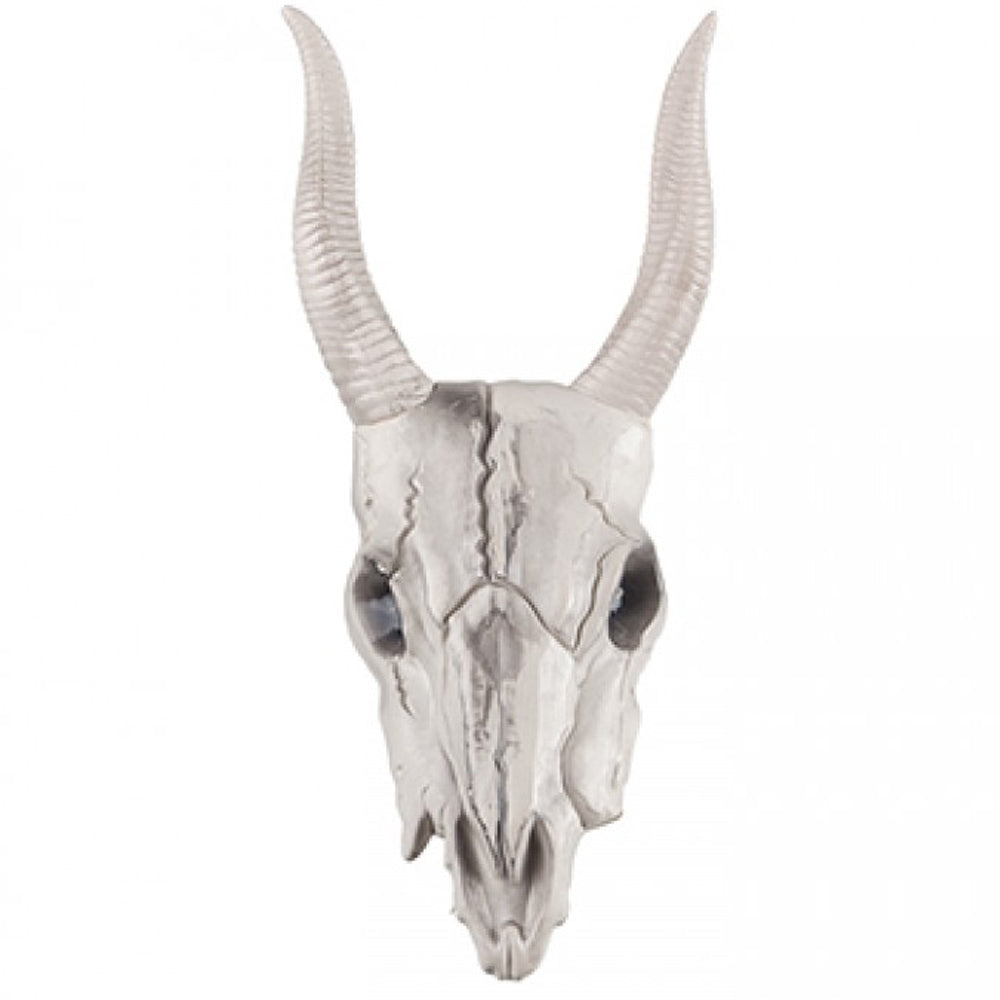 Goat Head Halloween Prop With Light Up LED Eyes - 41cm