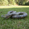 Giant Rubber Snake - 1.83m