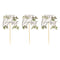 Botanical Hey Baby Shower Cupcake Toppers - Pack of 12