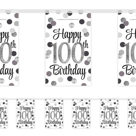 Silver Glitz 100th Birthday Paper Bunting - 2.4m