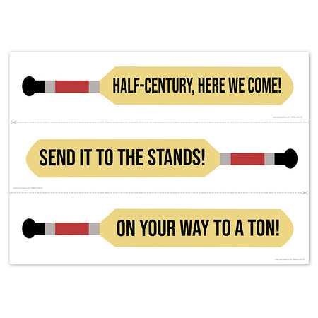 Cricket Bat Signs Poster - A3