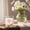 Pink Daisy Happy Mother's Day Unscented Candle In Glass Holder  - 6.5cm - Each