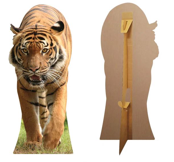 Tiger Cardboard Cutout - 1.3m