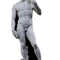 Michelangelo's David Lifesize Cardboard Cutout - 1.86m